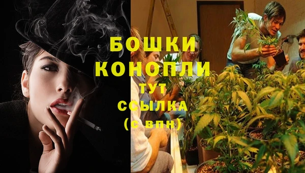 гашишное масло Краснослободск