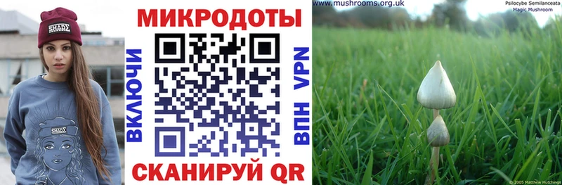 MEGA ТОР  Стрежевой  Галлюциногенные грибы MAGIC MUSHROOMS  купить наркотики сайты 